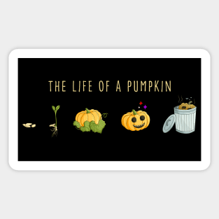 The life of a pumpkin Sticker